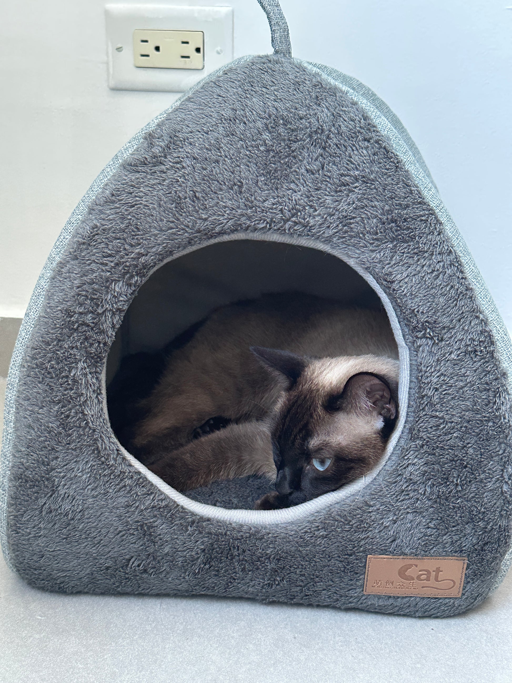 Triangle Cat Nest - Collapsible Enclosed Cat House & Bed