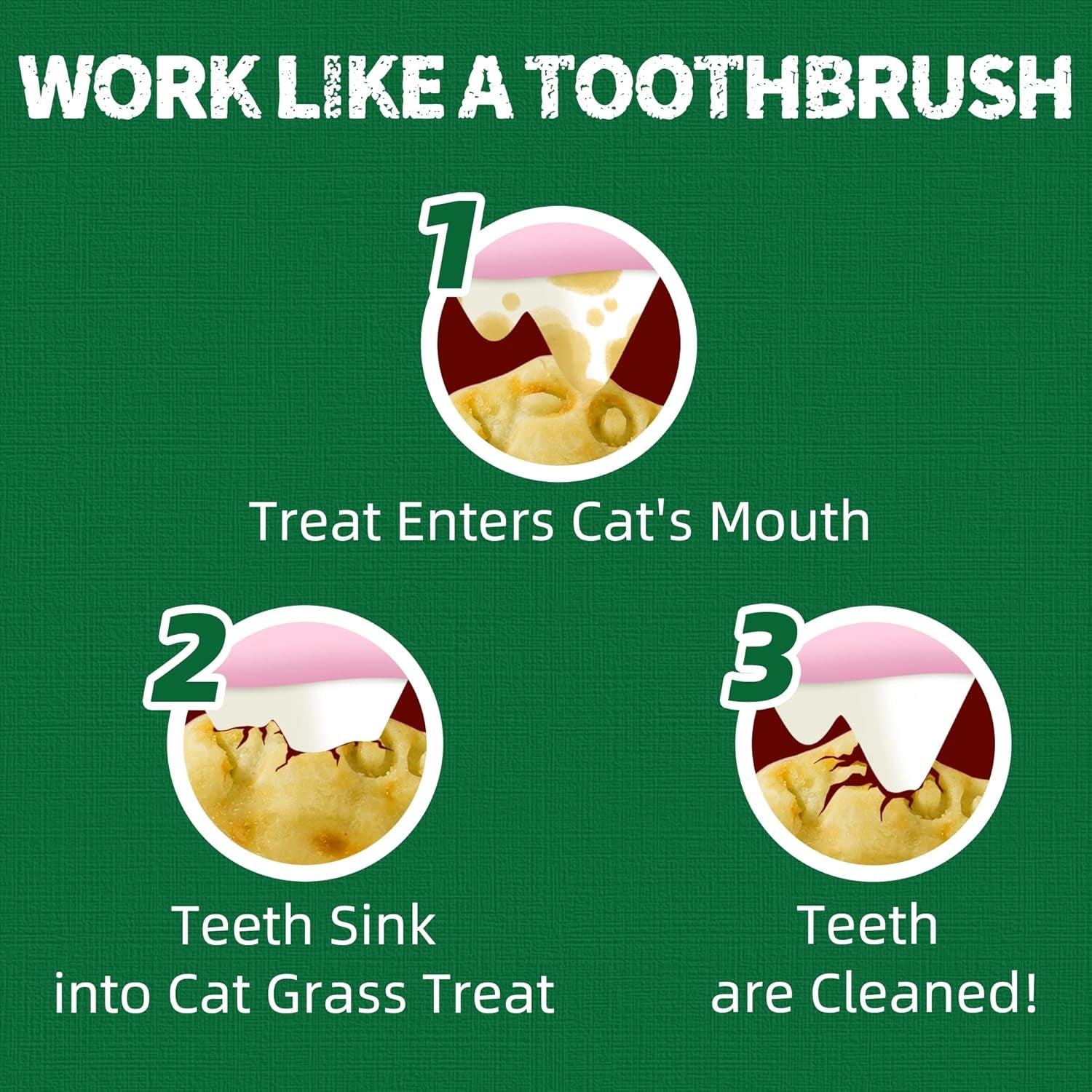 Natural Salmon & Cat Grass Treats – Healthy, Crunchy Training Biscuits for Happy Cats (13.4 oz)