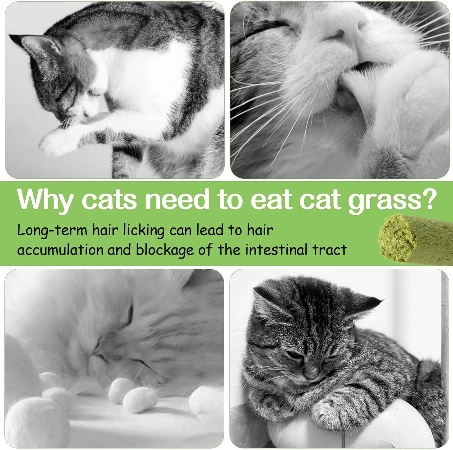 50G Cat Grass Teething Stick, Freezed Drying Cat Grass Sticks Snacks for Cats, Edible Cat Treats for Teeth Cleaning and Hairball Removal