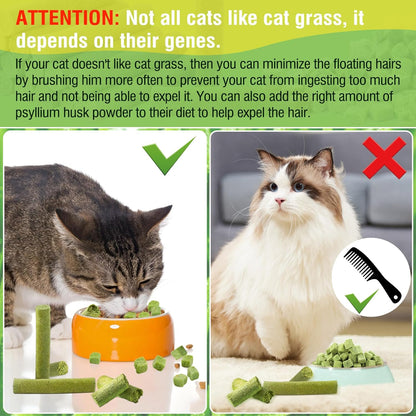 50G Cat Grass Teething Stick, Freezed Drying Cat Grass Sticks Snacks for Cats, Edible Cat Treats for Teeth Cleaning and Hairball Removal